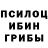 Псилоцибиновые грибы прущие грибы Serj Azarov