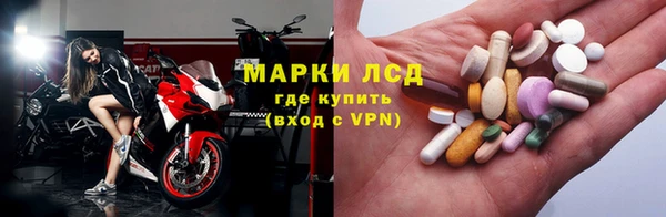 стаф Осташков